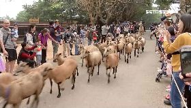 埔心第三..天0900