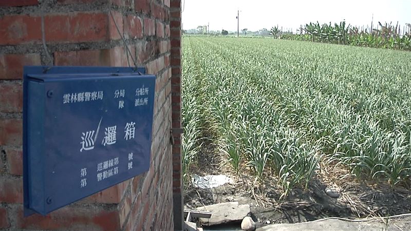 本土蒜價飆高　警日巡5次護農民心血
