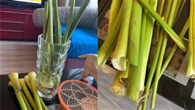 （圖／翻攝自爆廢公社）茭白筍,芋頭梗