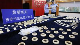 中國走私野生動物  廣東省查獲最多武漢肺炎疫情帶動中國對走私野生動物的討論。新京報報導，從2008年到2018年，中國各地海關中，尤以廣東省海關查獲的走私案件最多。圖為2018年5月在廣東省黃埔海關查毒走私象牙製品。（中新社提供）中央社  109年3月1日