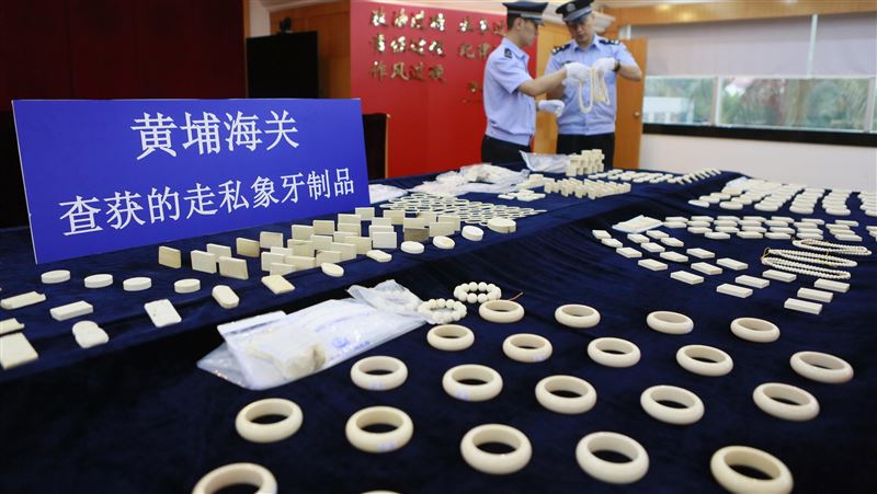 疫情掀動物走私議題！陸這處走私最多