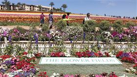 名家專用／草根影響力新視野（勿用）