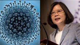 蔡英文,武漢肺炎,病毒