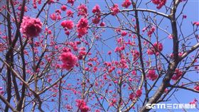 內湖樂活公園（北市府提供）