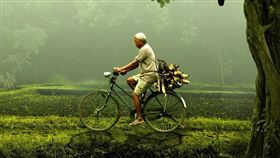 老人/長輩/腳踏車/老男人。示意圖/pixabay 