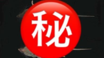 中國發現新物種…網民：新野味上桌！