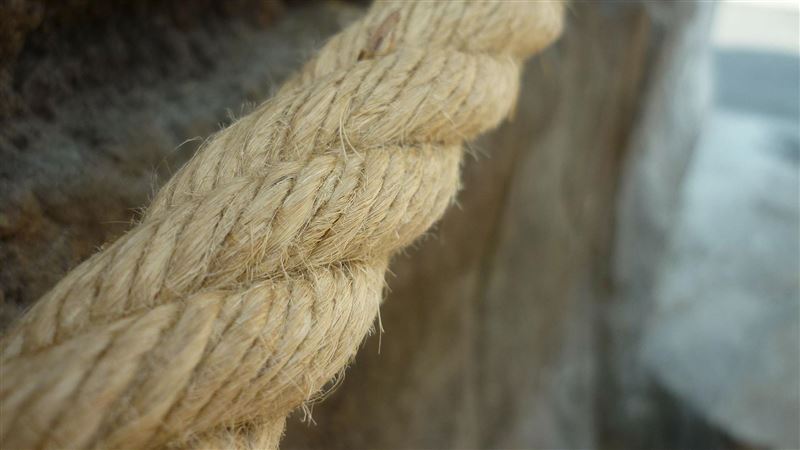 古代人怎上廁所？法國麻繩擦屁股痛爆