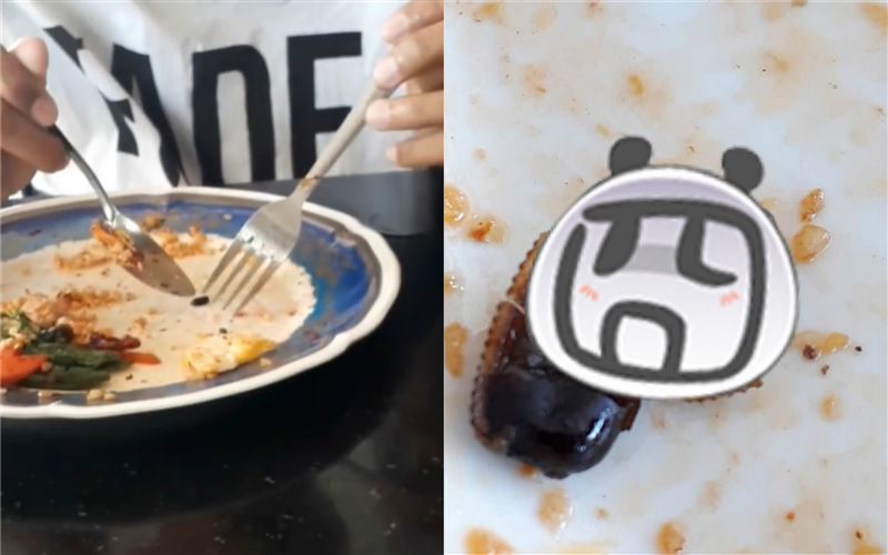 男炒飯吃到蟑螂蛋　店員辯：那是紅豆