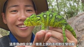 ▲吳沁婕到馬達加斯加尋找野生變色龍。（圖／昆蟲擾西吳沁婕Dee the bugbuff 授權）