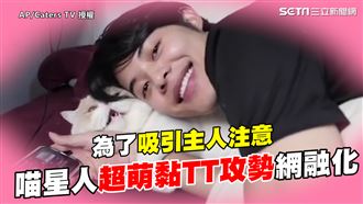 為吸引注意　喵星人黏TT攻勢網融