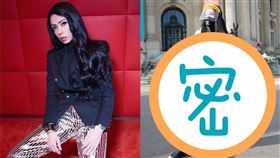 ▼▲（圖／翻攝自XXX）