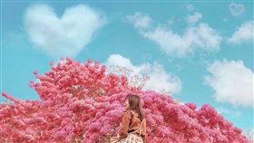 （圖／Tripbaa趣吧！亞洲自由行專家）