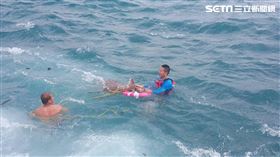 救援梅花鹿（第一三岸巡大隊提供）