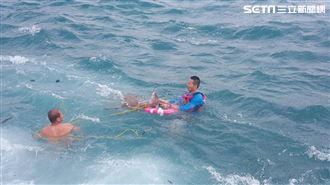梅花鹿落海險溺斃　綠島人急拋繩搶救