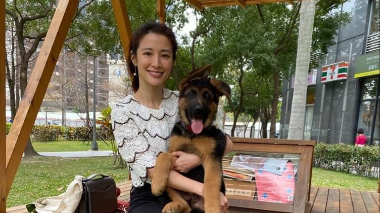 夜會小狼狗　李蒨蓉氣哭險鬧家庭革命