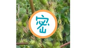 他伺候嬪妃在鞋藏一物　用了精神超好