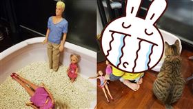 主子,沙灘,貓砂,媽媽,女童,女兒,天真,芭比娃娃,崩潰,天下貓貓一樣貓群組