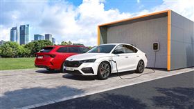 ▲Skoda Octavia RS iV（圖／翻攝自Skoda官網）