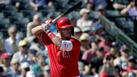 ▲楚奧特（Mike Trout）炸裂春訓首轟。（圖／美聯社／達志影像）