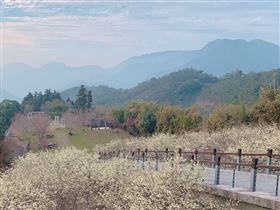 名家專用／台灣旅行趣（勿用）