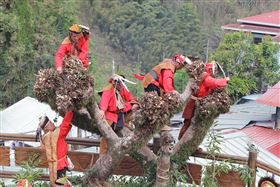 阿里山鄒族「瑪雅斯比」（Mayasvi）祭典，今天在特富野社「庫巴」會場舉行，結合戰祭、團結祭、家祭、路祭等祭儀，典禮莊嚴隆重。