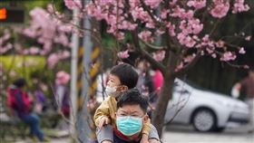 民眾週末上山賞櫻全台進入春天花季，各地櫻花陸續盛開，民眾7日趁著週末好天氣上山賞花。中央社記者徐肇昌攝　109年3月7日