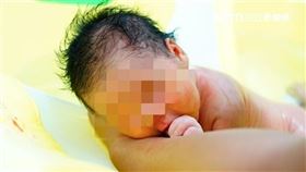 少子化,懷孕,凍卵,不孕,寶寶,分娩,孕婦（圖／記者李鴻典攝）