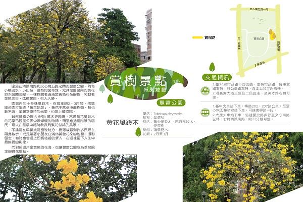 鈴木民保　油彩　黄色い花 黃金風鈴木」閃閃惹人愛全台八大金色隧道來了！ | 專欄| 三立新聞網