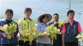 張麗善現勘關心蔬菜產銷武漢肺炎疫情衝擊農產品銷售，雲林縣長張麗善（中）等人7日到西螺地區了解蔬菜採收情況，將透過多元管道協助農友銷售。　中央社記者姜宜菁攝　109年3月7日