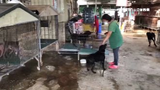 狗園姜媽爭議多　拒稽查潑水環保局員