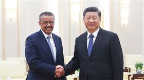 世界衛生組織，譚德塞，習近平（圖／翻攝自新華社）