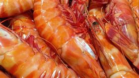 蝦子（示意圖／翻攝自pixabay）