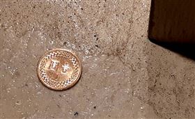 ▲撿錢：銅板；千元大鈔；硬幣（圖／記者唐家興攝影）