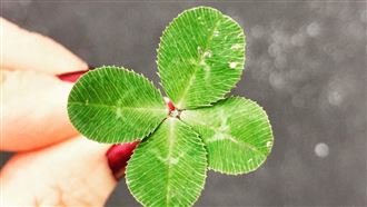 連7天好運旺到滿出來　三生肖爽到笑