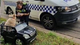 ▲澳洲警方對一隻坐在賓士車的狗進行口頭警告。（圖／翻攝自Victoria Police FB）