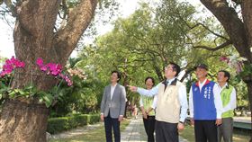 黃偉哲視察總爺藝文中心蘭花布置台灣國際蘭展配合武漢肺炎防疫工作延辦，將展場中的大量蘭花移到轄內的10多處景點布置展出，市長黃偉哲（中）9日上午到麻豆區的總爺藝文中心視察蘭花布置情形。中央社記者楊思瑞攝  109年3月9日