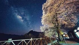 ▲（圖／IG @nbatmlera提供）