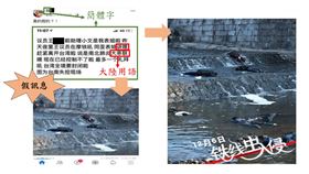 假訊息,陸配　刑事局提供