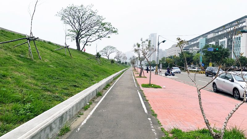 竹北興隆路堤岸改善　打造櫻花景觀