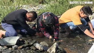 噶哈巫特色料理　竟讓大甲溪戰神崩潰