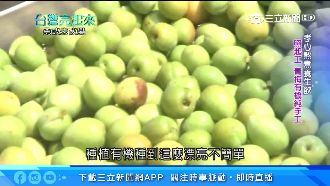 梅農依循本草綱目　孝心熬煮養生飲