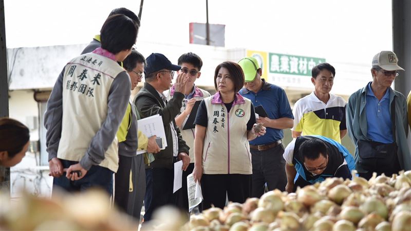 屏東洋蔥炭疽病　周春米籲中央補助