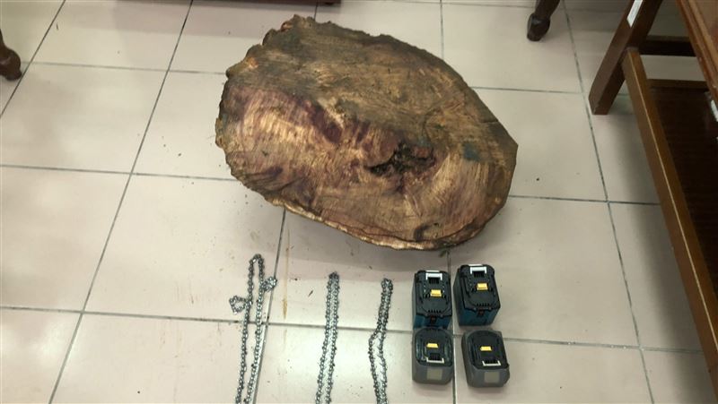 台東武陵山區盜林　警跨單位逮山老鼠