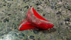 他擲筊擲出交疊「手指愛心」　驚問：有什麼特別指示？（圖／翻攝自爆廢公社臉書）