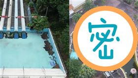 八仙樂園,塵爆,空拍照,人造池,停業　圖／翻攝爆廢公社公開版