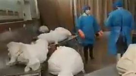 肺炎,伊朗,死亡,遺體,屍袋（圖／翻攝自推特-MohamadAhwaze）