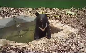 廣原小熊「泡湯」畫面曝光