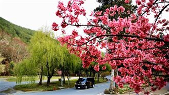 替第一線加油　武陵農場推專屬優惠