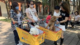 台南花園水道博物館獲贈寵物推車台南山上花園水道博物館獲在地企業熱心捐贈10部寵物推車，加入服務遊客行列，可讓更多毛小孩來園區遊玩，獲民眾好評。（台南市文化局提供）中央社記者楊思瑞台南傳真  109年3月10日
