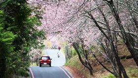 武陵農場▲（圖／資料照）